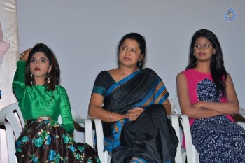 Chiru Godavalu Premiere Press Meet - 30 of 41
