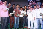 Chirunavvula Chirujallu Audio Launch - 24 of 96