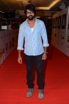 CineMAA Awards 2016 Red Carpet Photos - 41 of 69