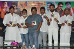 Cinemaki Veladam Randi Movie Audio Launch - 1 of 68