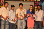 Crazy Movie Audio Launch - 113 of 133