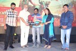 Current Theega Success Meet 02 - 114 of 117