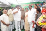 Dasari Narayana Rao 65th Birthday Photos - 30 of 249