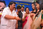 Dasari Narayana Rao 71st Birthday Celebrations 01 - 111 of 224