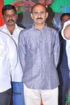Devadas Style Marchadu Audio Launch 01 - 25 of 48