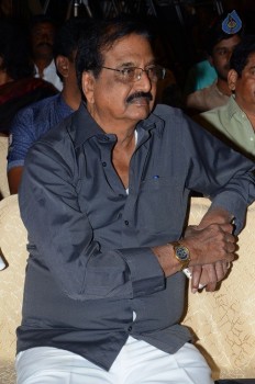 Devudulanti Manishi Book Launch Photos - 50 of 110