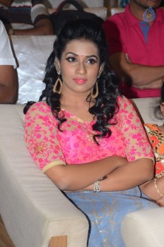 Dharma Yogi Audio Launch 1 - 32 of 50