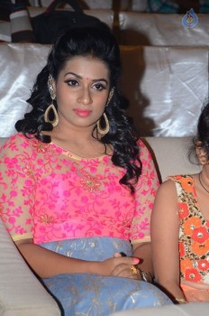 Dharma Yogi Audio Launch 1 - 34 of 50