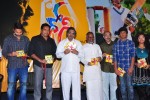 Dhoni Movie Audio Launch - 38 of 58