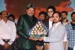 Dil Deewana Audio Launch - 10 of 168