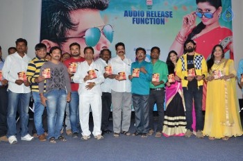 Dil Unna Raju Premalo Paddadu Audio Launch - 13 of 14