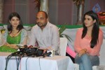 Dillunnodu Movie Press Meet - 20 of 32