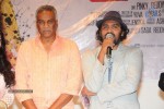 Director Movie Audio Launch - 5 of 111