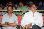 Director Movie Audio Launch - 17 of 111