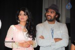 Director Movie Audio Launch - 19 of 111