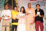 Director Movie Audio Launch - 21 of 111