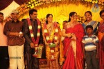 Director S.P.Hosimin Wedding Reception  - 11 of 76