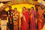 Director S.P.Hosimin Wedding Reception  - 14 of 76