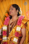 Director S.P.Hosimin Wedding Reception  - 49 of 76