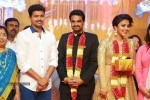 Director Vijay and Amala Paul Reception Photos - 10 of 65