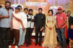 Director Vijay and Amala Paul Reception Photos - 11 of 65