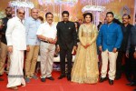 Director Vijay and Amala Paul Reception Photos - 43 of 65