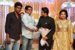 Director Vijay and Amala Paul Reception Photos - 44 of 65