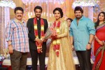 Director Vijay and Amala Paul Reception Photos - 51 of 65