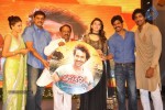 Doosukeltha Audio Launch 04 - 5 of 205