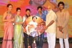 Doosukeltha Audio Launch 04 - 87 of 205