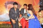 Doosukeltha Audio Launch 04 - 88 of 205