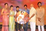 Doosukeltha Audio Launch 04 - 93 of 205