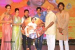 Doosukeltha Audio Launch 04 - 132 of 205