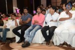 Doosukeltha Audio Launch 05  - 39 of 145