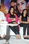 Drishyam Success Meet 02 - 124 of 163