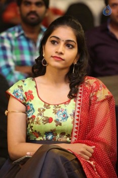 Ee Cinema Guarantee Hit Audio Launch - 24 of 41