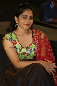 Ee Cinema Guarantee Hit Audio Launch - 26 of 41