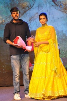 Ekkadiki Pothavu Chinnavada Audio Success Celebrations 2 - 18 of 77