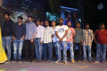 Ekkadiki Pothavu Chinnavada Audio Success Celebrations 2 - 19 of 77