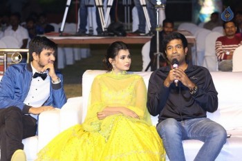 Ekkadiki Pothavu Chinnavada Audio Success Celebrations 2 - 21 of 77