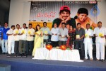 Em Pillo Em Pillado Movie Audio Release - 28 of 74