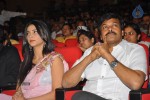 Gabbar Singh Movie Audio Launch 04 - 133 of 165