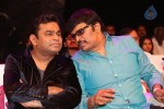 Gayakudu Movie Audio Launch 03 - 26 of 215