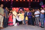 Gayakudu Movie Audio Launch 03 - 27 of 215