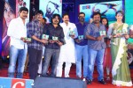 Geethanjali Audio Launch 03 - 26 of 127