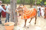 Gomatha Serial Launch - 38 of 74