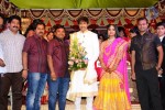 Gopichand Wedding Photos - 17 of 50