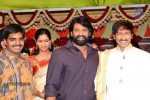 Gopichand Wedding Reception 01 - 8 of 190