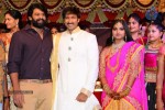 Gopichand Wedding Reception 01 - 47 of 190