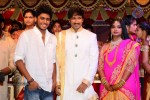 Gopichand Wedding Reception 01 - 119 of 190